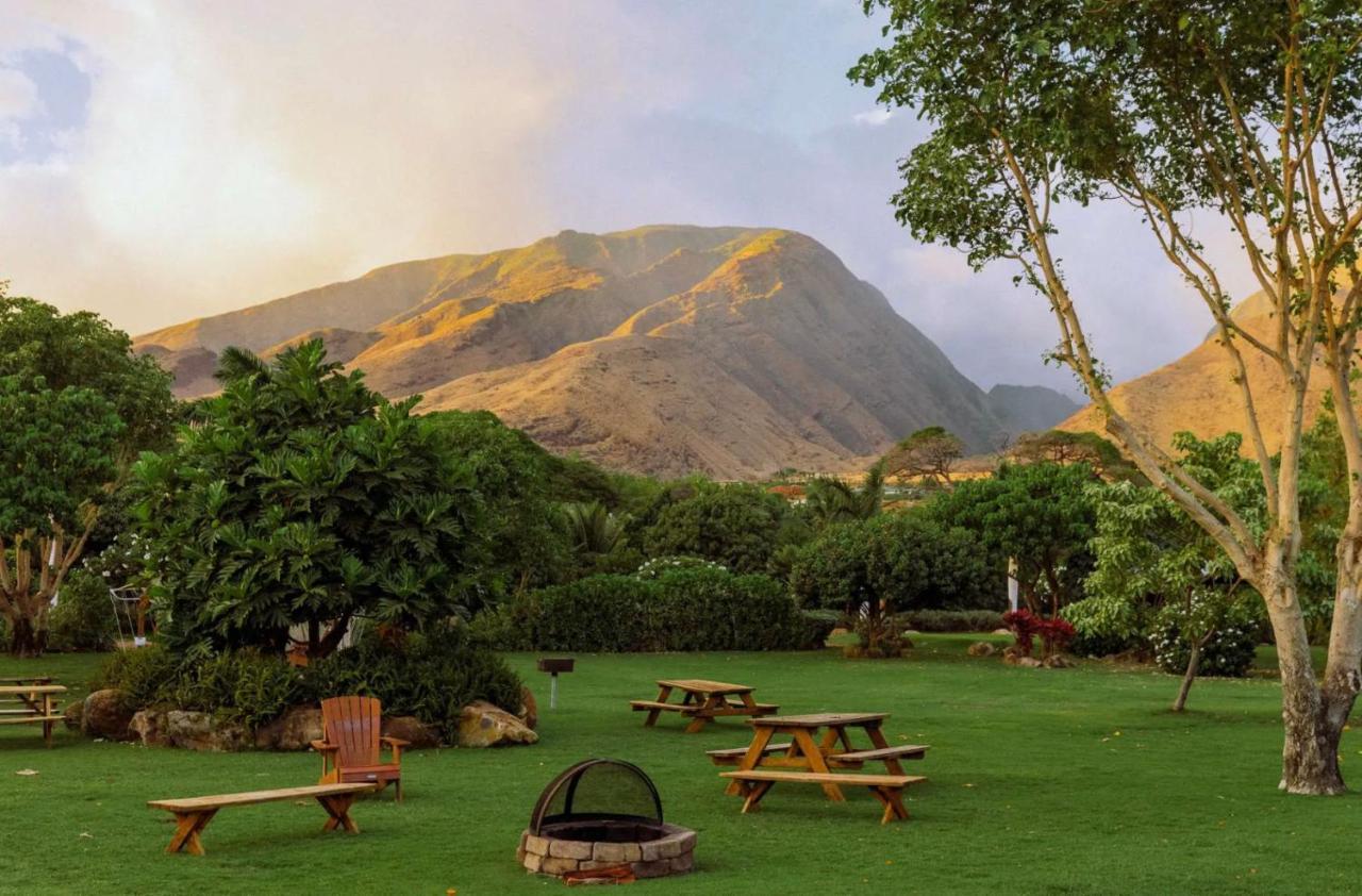 Explore Maui'S Diverse Campgrounds And Uncover The Island'S Beauty From Fresh Perspectives Every Day As You Journey With Aloha Glamp'S Great Jeep Equipped With A Rooftop Tent Пайа Екстериор снимка