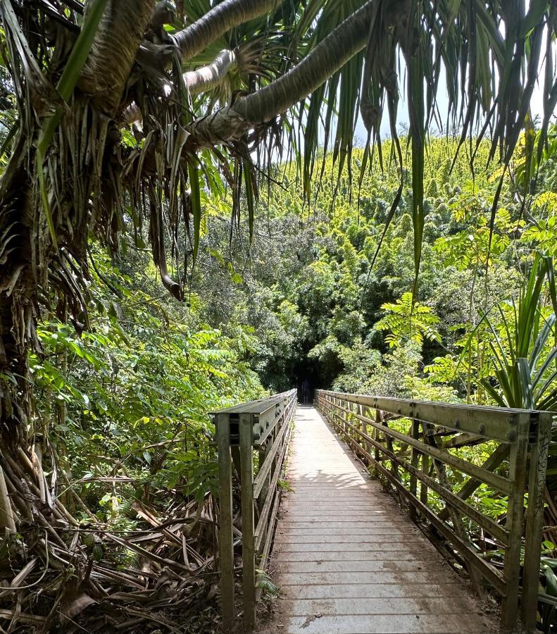 Explore Maui'S Diverse Campgrounds And Uncover The Island'S Beauty From Fresh Perspectives Every Day As You Journey With Aloha Glamp'S Great Jeep Equipped With A Rooftop Tent Пайа Екстериор снимка